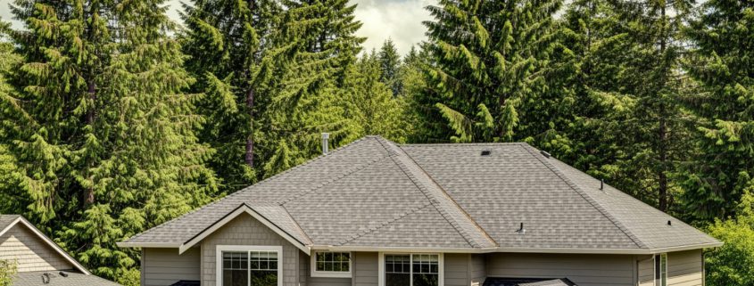 best new roof installation in forest grove, or