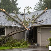 emergency roof maintenance in wilsonville, or