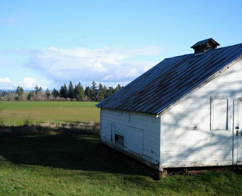 residential roof inspection preventative maintenance Oregon home - how often should you have your roof inspected