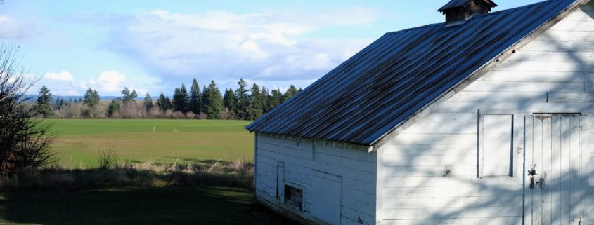 residential roof inspection preventative maintenance Oregon home - how often should you have your roof inspected