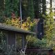 premium shingle options for pacific northwest homes