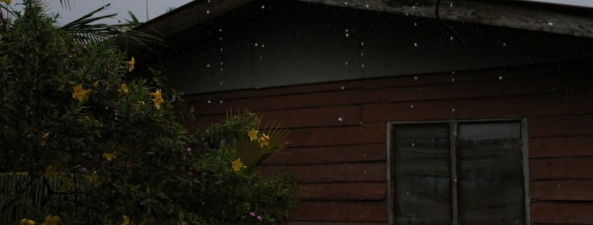 home roof in heavy rain protecting house from water damage - how to protect your home from water damage through your roof
