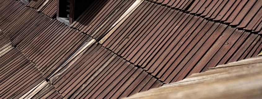 roofing material samples displayed on a roof surface showing different textures and colors