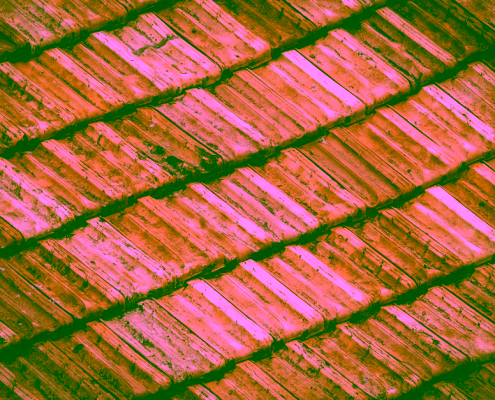 aging residential roof in Beaverton Oregon showing wear and missing shingles