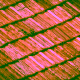 aging residential roof in Beaverton Oregon showing wear and missing shingles