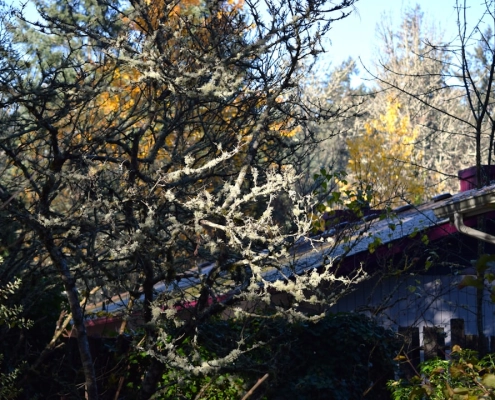 damaged gutters on a Pacific Northwest home with water overflow