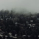 Portland roof in heavy rain with moss and wet shingles visible