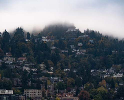 rain falling on a Portland home roof in the Pacific Northwest
