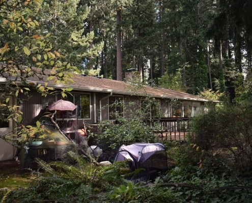rain-slicked residential roof in Pacific Northwest rainy climate