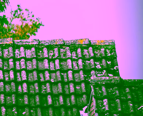 weathered old roof with moss and aging shingles in Pacific Northwest climate