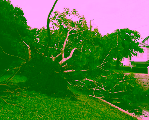 storm damaged roof Pacific Northwest Beaverton Oregon heavy rain windstorm