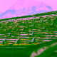 moss covered roof shingles Pacific Northwest