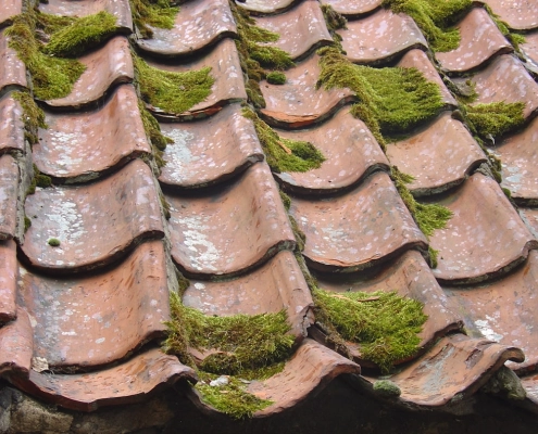 aging roof with moss on a home in Beaverton Oregon