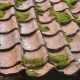 aging roof with moss on a home in Beaverton Oregon