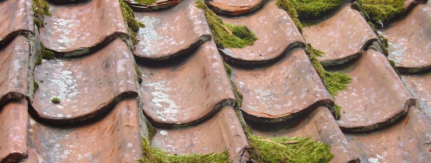 aging roof with moss on a home in Beaverton Oregon