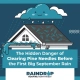 The Hidden Danger of Clearing Pine Needles Before the First Big September Rain — featured image