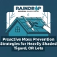 Proactive Moss Prevention Strategies for Heavily Shaded Tigard, OR Lots — featured image